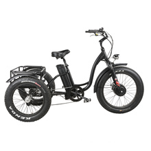 500W 3 Wheel Female Cheap Electric Tricycle with Lithium Battery Disc Brake